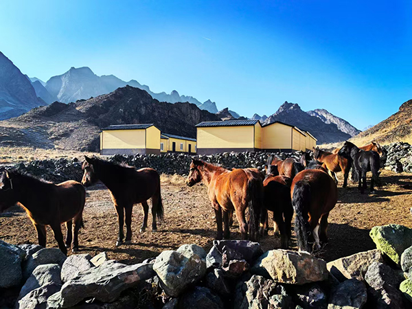 牧民安置房系列